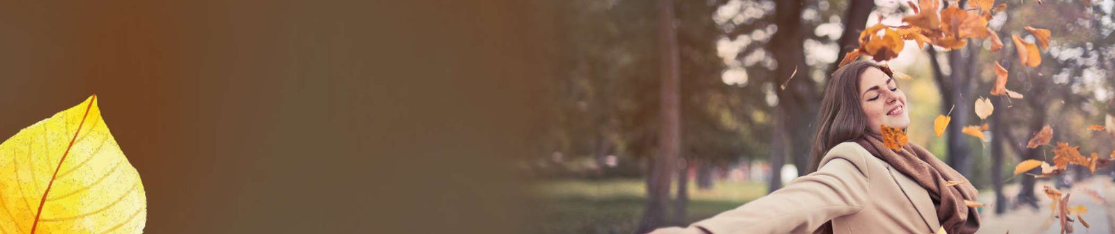 Womens 3 for 2 Collection