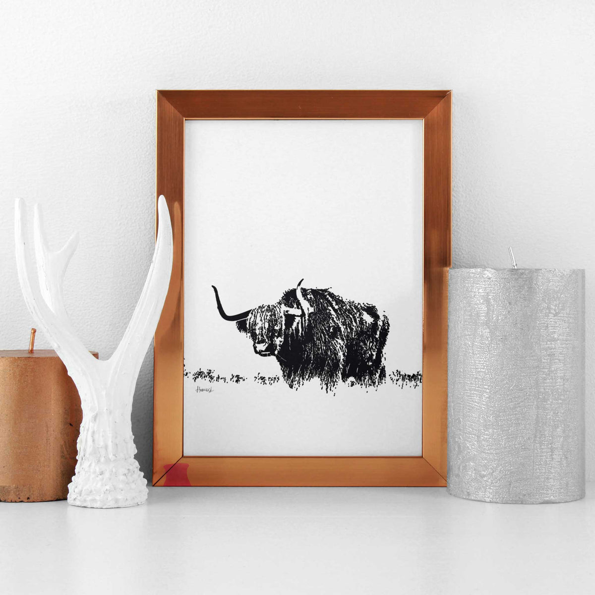 highland cow art print