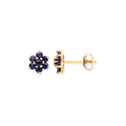 9ct Yellow Gold Black Sapphire Flower Studs