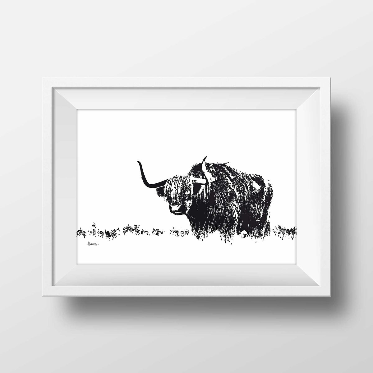 highland cow art print